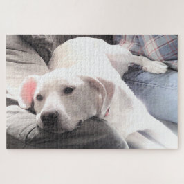 Foto des Niedlichen, müde weißen Hundes, der mit d Puzzle