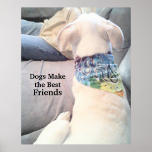 Foto des Niedlichen Vaters des Welpenhundes Poster