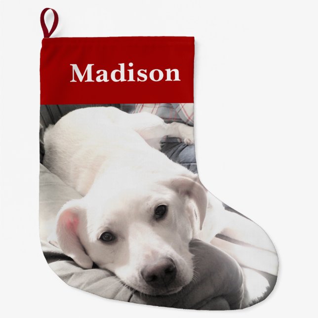 Foto des Niedlichen Welpenhundes Rot Großer Weihnachtsstrumpf (Vorderseite)