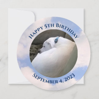 Foto des Niedlichen Welpenhundes Schlafen Blauer G Einladung