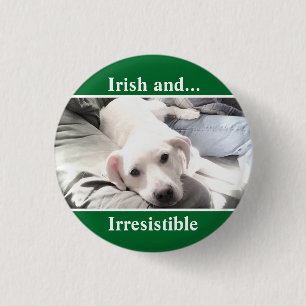 Foto des Niedlichen White Labrador Mix St. Patrick Button