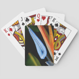 Foto des Paradieses Spielkarten