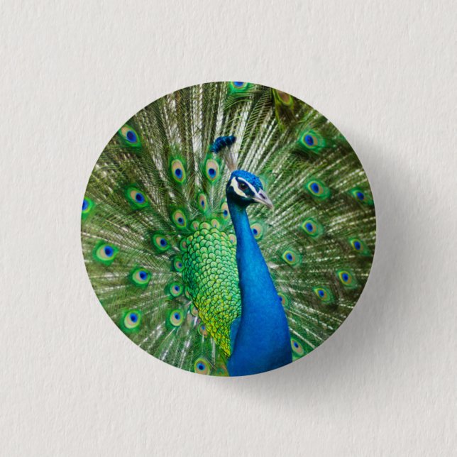 Foto des Pfauenvögels Button (Vorderseite)