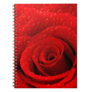 Foto des Rosen-Hintergrundes Notizblock