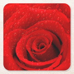Foto des Rosen-Hintergrundes Rechteckiger Pappuntersetzer