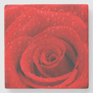 Foto des Rosen-Hintergrundes Steinuntersetzer