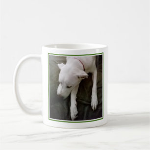 Foto des schlafenden Hundes wird gut grün und weiß Kaffeetasse