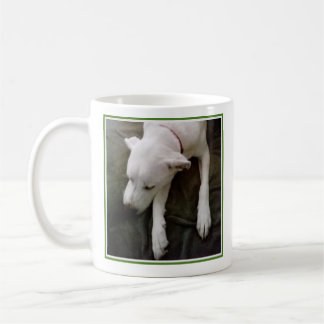 Foto des schlafenden Hundes wird gut grün und weiß Kaffeetasse