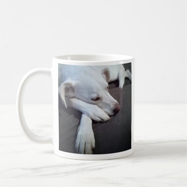 Foto des Schlafens Hund Speedy Erholung gut Kaffeetasse (Links)