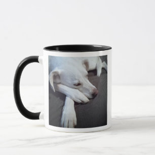 Foto des Schlafens Hund Speedy Erholung gut Tasse