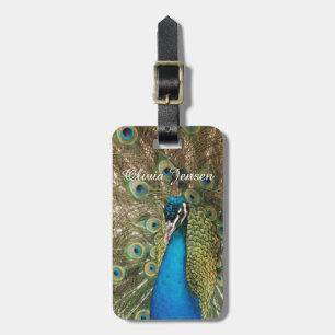 Foto des schönen Pfaus mit verbreiteten Federn Gepäckanhänger