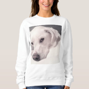 Foto des schönen Regal White Dog Sweatshirt