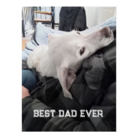Foto des schönen Weißen Hundes mit dem Vater Vater