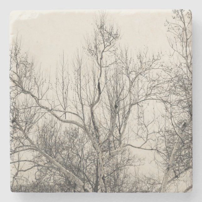 Foto des Winter-Nebels in Central Park NYC Steinuntersetzer (Vorderseite)