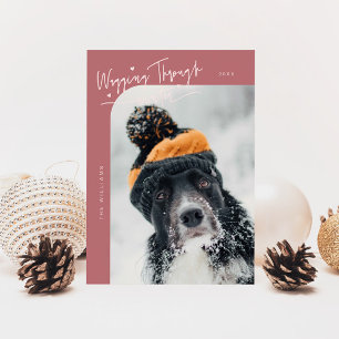Foto des Winterhundes - Rosa Weihnachten