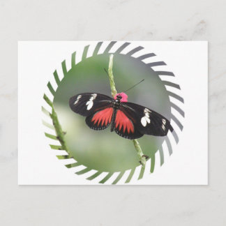 Foto-Design-Postkarte Postkarte