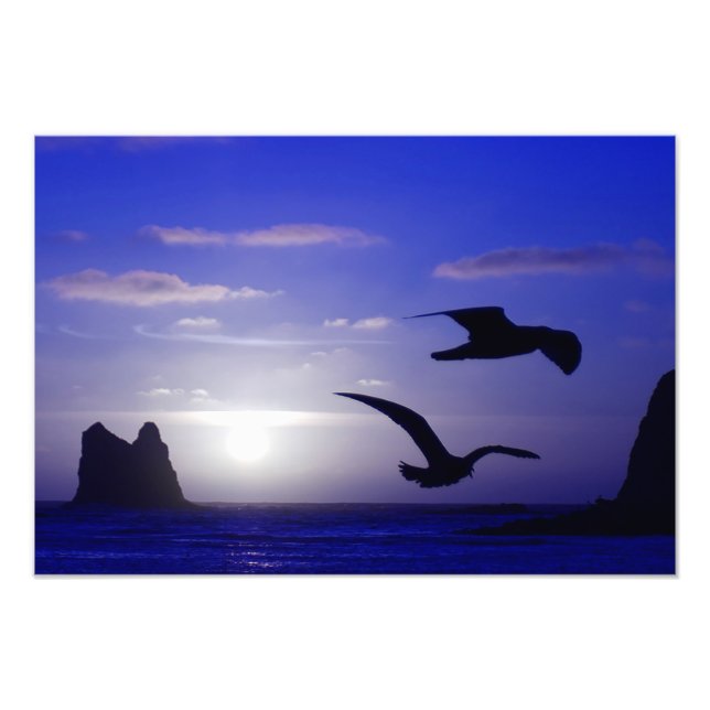 Foto "Die doppelte Blues" (Vorne)