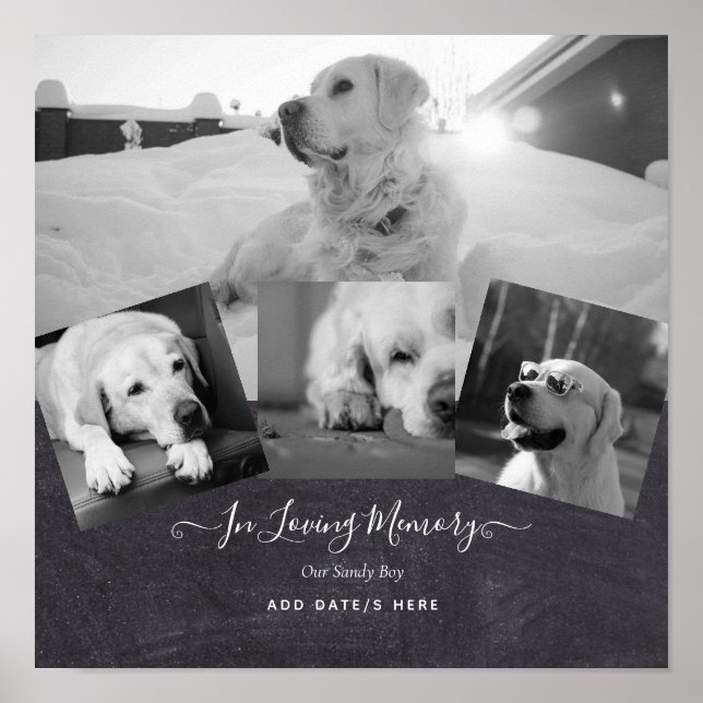 FOTO Dog Memorial Gift - Pet Loss Keepake Collage Poster (Vorne)