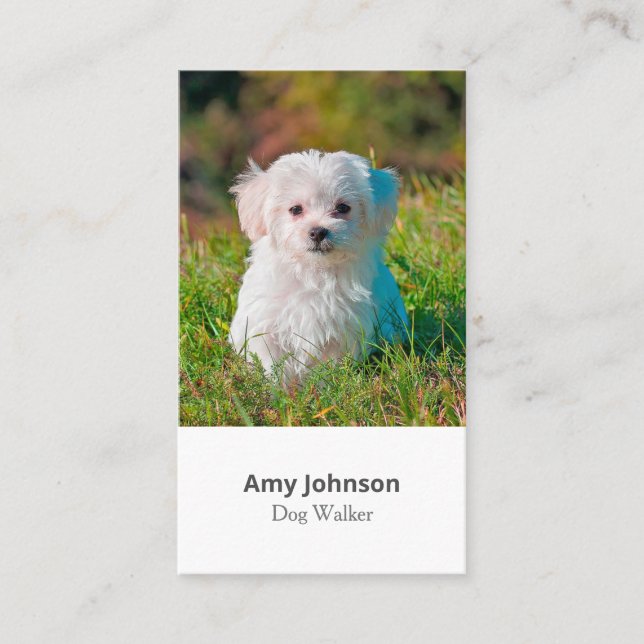 Foto Dog Walker Business Card Visitenkarte (Vorderseite)