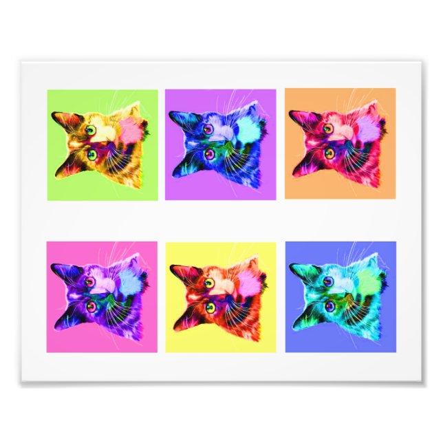 Foto-Druck 8x10" Regenbogen/Weißkatzenportrait Fotodruck (Vorne)