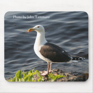 Foto durch John Tammaro Mousepad