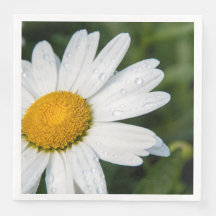 Foto, ein margueritte machen Grün