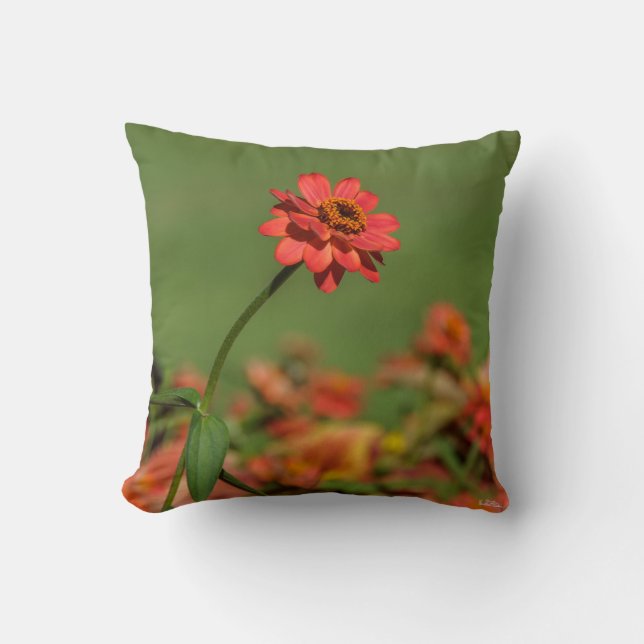 Foto eine rote Blume Kissen (Vorderseite)