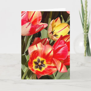 Foto einer Blume aus Neuengland Leere Grußkarte Karte