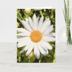 Foto einer Blume aus Neuengland Leere Grußkarte Karte