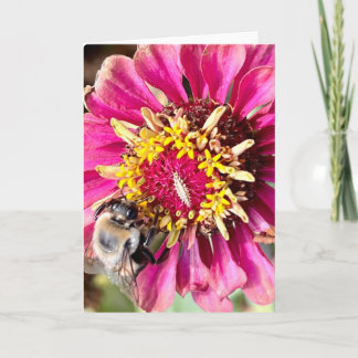 Foto einer Blume aus New England Blank Gruß Karte