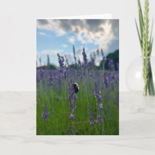 Foto einer Blume aus New England Blank Gruß Karte