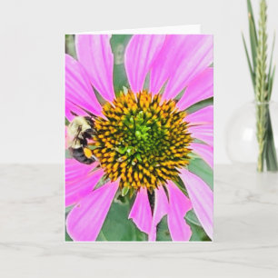 Foto einer Blume aus New England Blank Gruß Karte