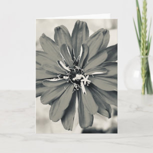 Foto einer Blume aus New England Blank Gruß Karte