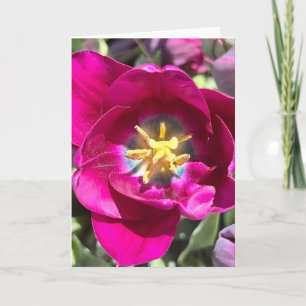 Foto einer Blume aus New England Blank Gruß Karte