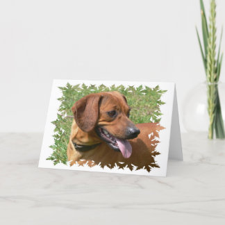 Foto einer Dackel-Hundekarte Karte
