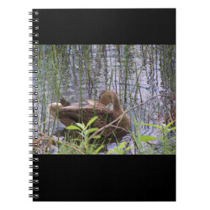 Foto einer Ente Notizblock