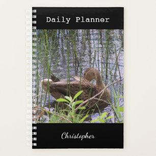 Foto einer Ente Planer