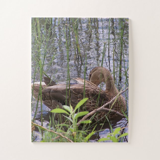 Foto einer Ente Puzzle (Vertikal)