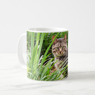Foto einer getigerten Katze im Gras sitzend Kaffeetasse