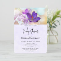 Foto einer Hübschen Lila Spring Crocus Babydusche