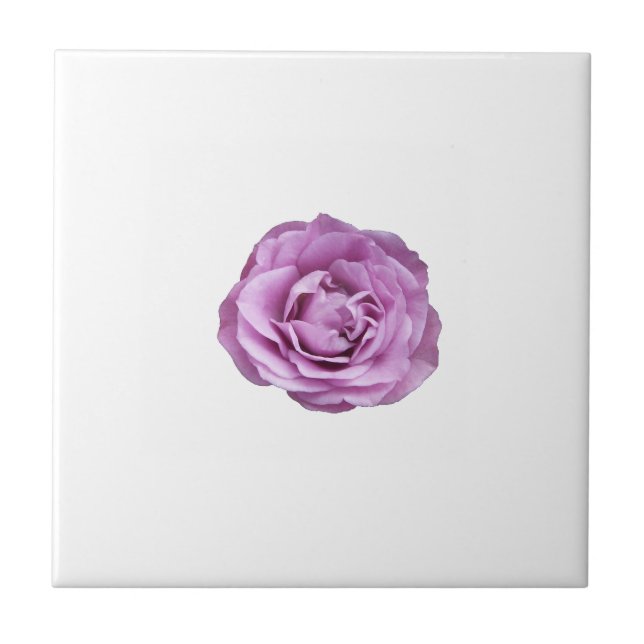 Foto einer lavenderfarbenen Rose auf einer Fliese (Vorderseite)