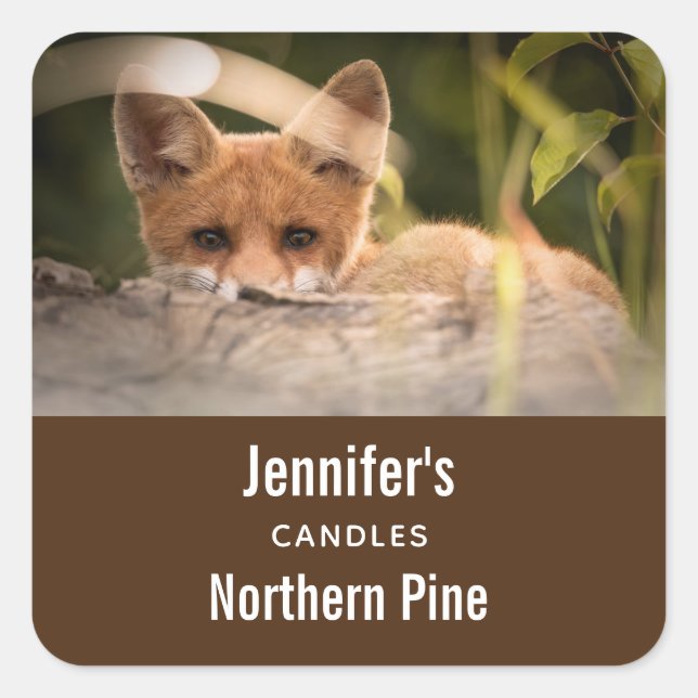 Foto einer Niedlichen kleinen Orangenfockenkerze o Quadratischer Aufkleber (Vorderseite)