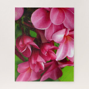 Foto einer rosa Plumeria-Blüte Puzzle