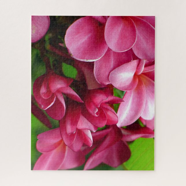 Foto einer rosa Plumeria-Blüte Puzzle (Vertikal)