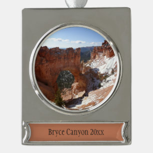 Foto einer verschneiten Landschaft der natürlichen Banner-Ornament Silber