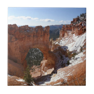 Foto einer verschneiten Landschaft der natürlichen Fliese
