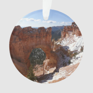 Foto einer verschneiten Landschaft der natürlichen Ornament