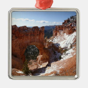 Foto einer verschneiten Landschaft der natürlichen Silbernes Ornament