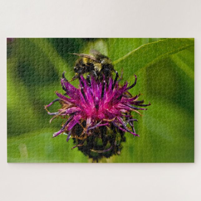 Foto einer wunderschönen lila Blume mit Honigbiene Puzzle (Horizontal)