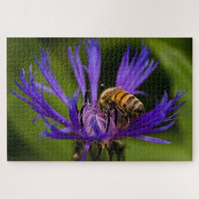 Foto einer wunderschönen lila Blume mit Honigbiene Puzzle (Horizontal)